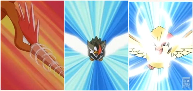 ¿Pidgeot, Fearow o Staraptor?