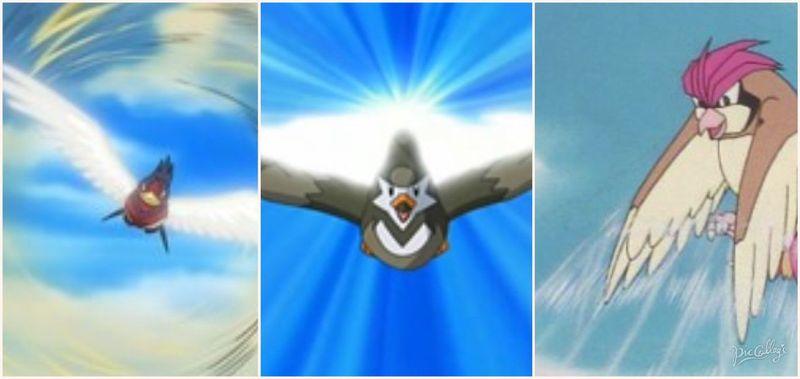 ¿Pidgeotto, Swellow o Staravia?