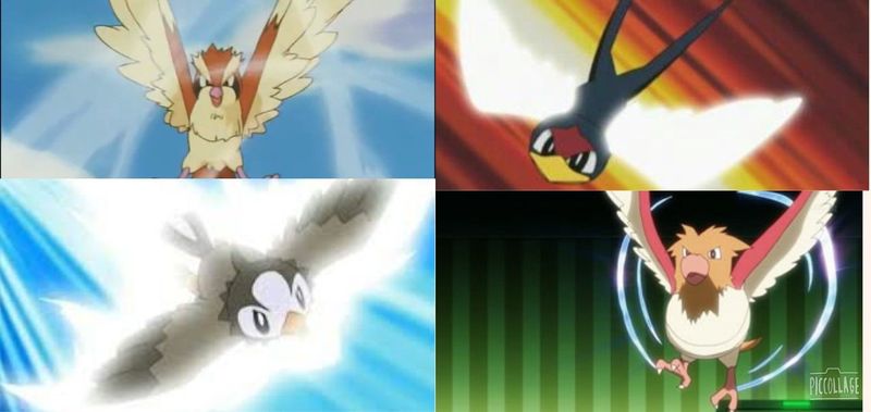 ¿Pidgey, Spearow, Taillow o Starly?