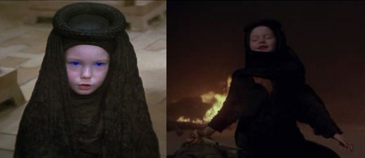 ¿Cual es el equivalente masculino a una Bene Gesserit?